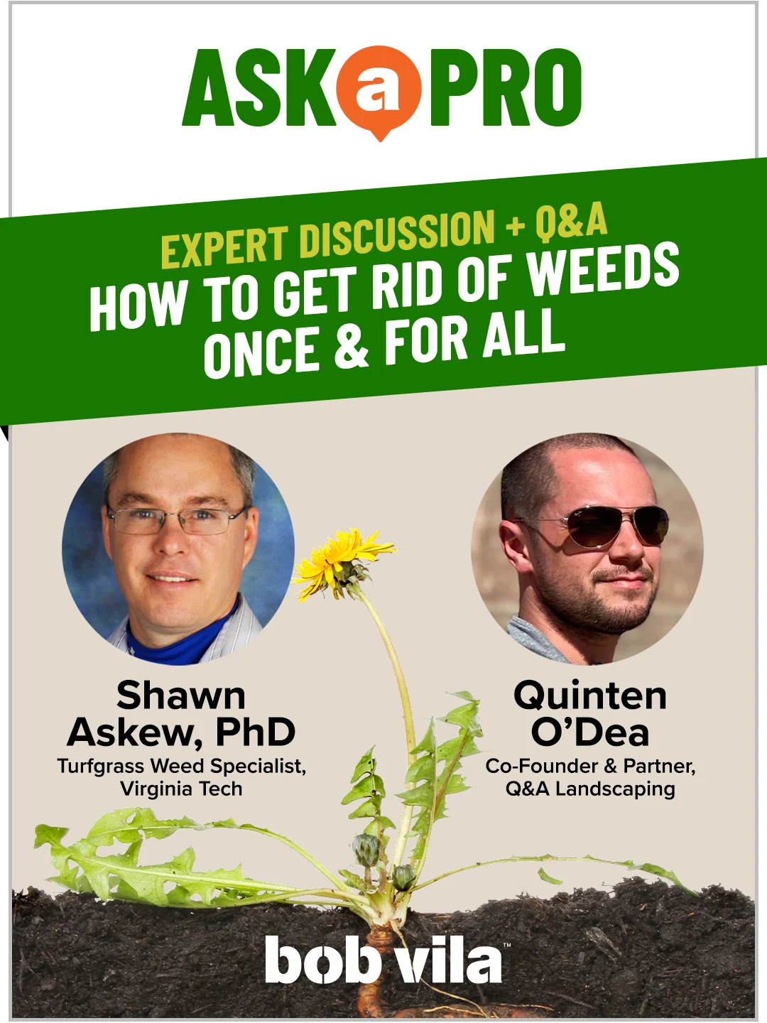 How to Get Rid of Weeds Once & For All product image (1)