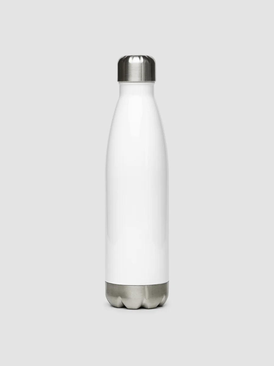 Stainless Steel Water Bottle product image (4)