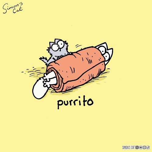 The only way to deal with Monday...🌯