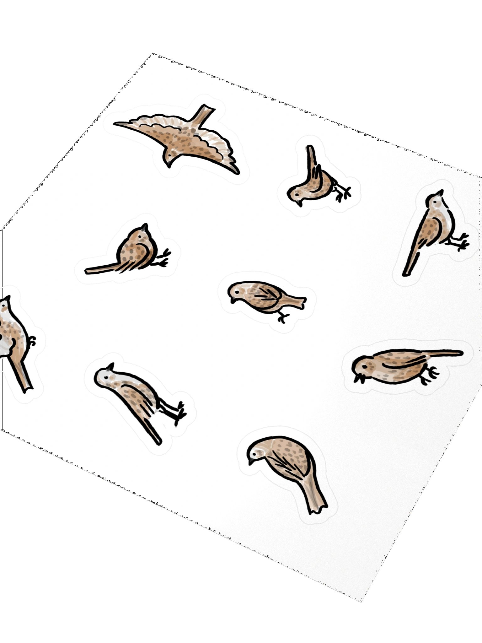 cute dunnock birds product image (3)