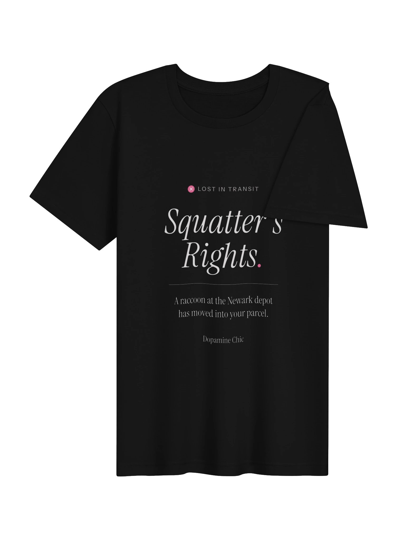 Squatter's Rights product image (4)