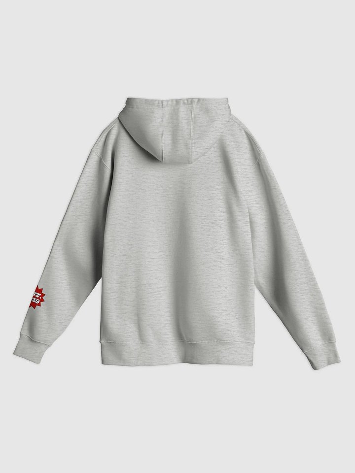 Nags OG Hoodie - Grey product image (2)