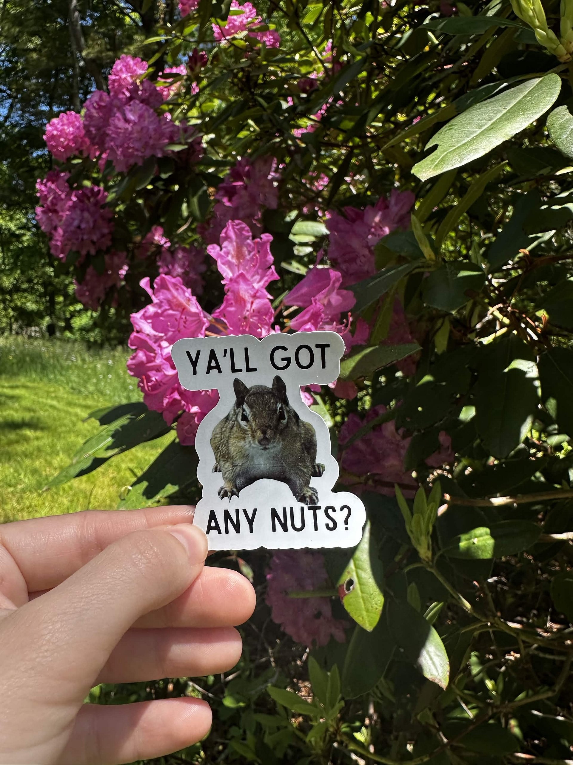 Got Nuts? Sticker product image (3)