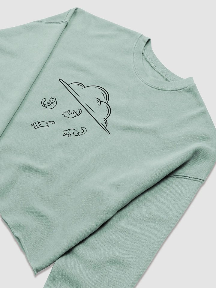 Raining With Cats Crop Sweatshirt product image (14)