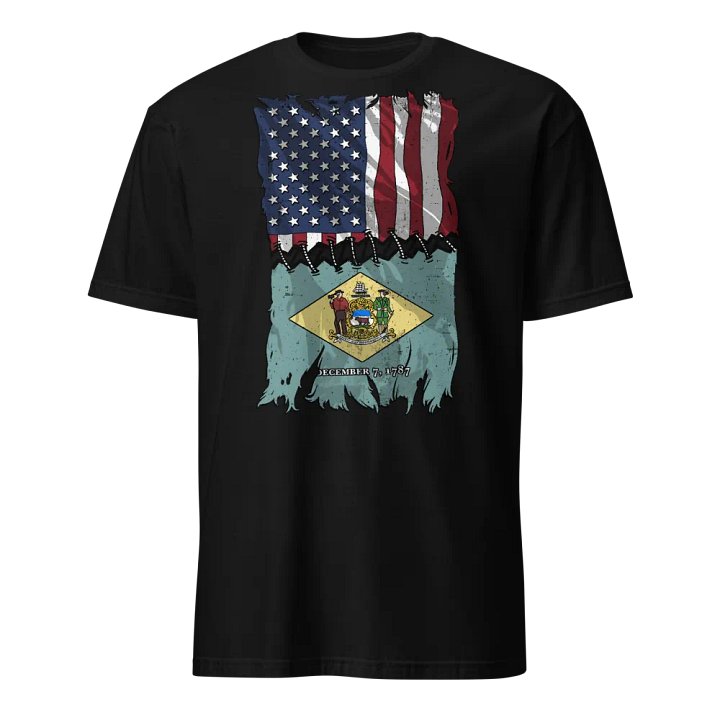 Delaware Stitch Flag USA product image (1)