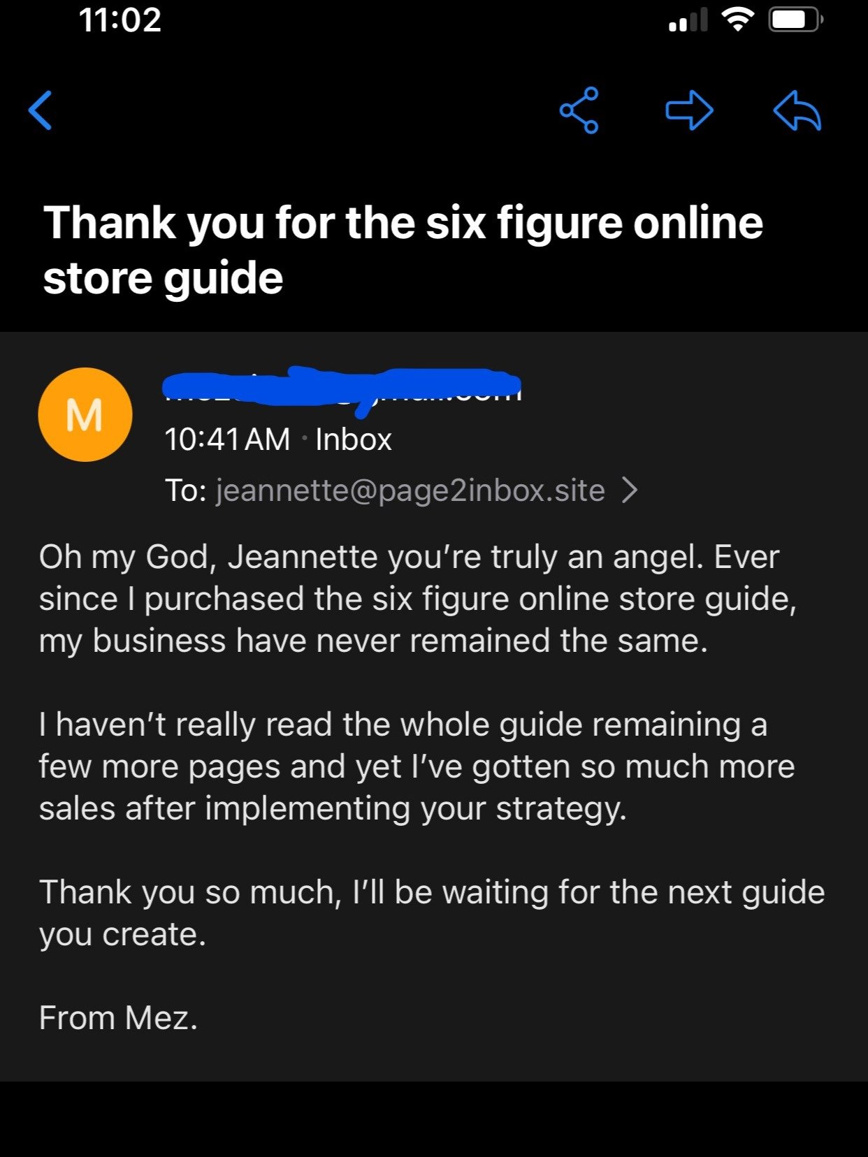 The Six Figure Online Store product image (2)