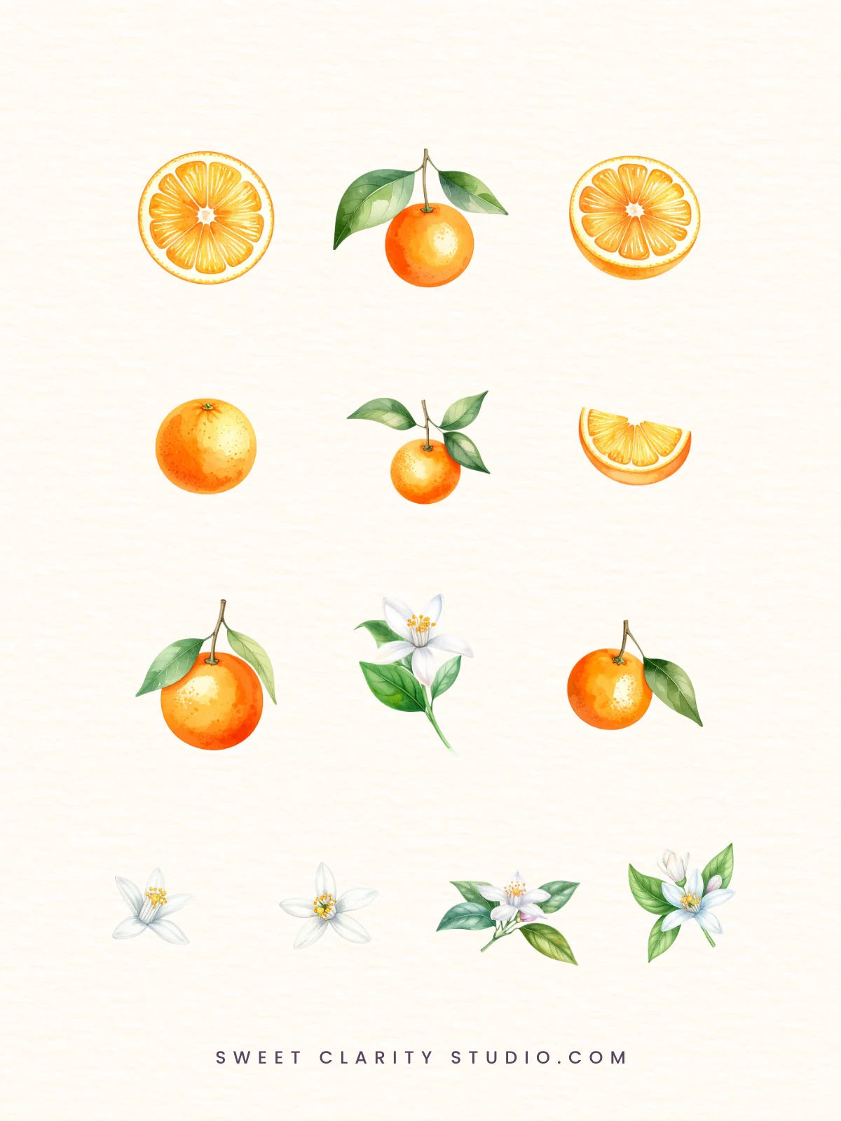 Watercolor Oranges Clipart Pack product image (3)