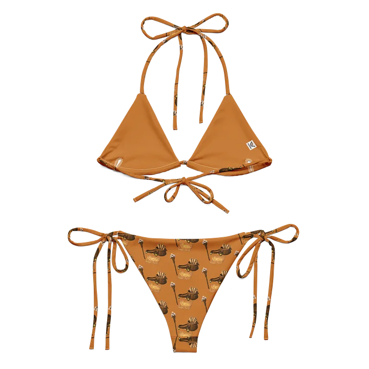 Kingdom Cartographer 2 Recycled Bikini Set product image (1)