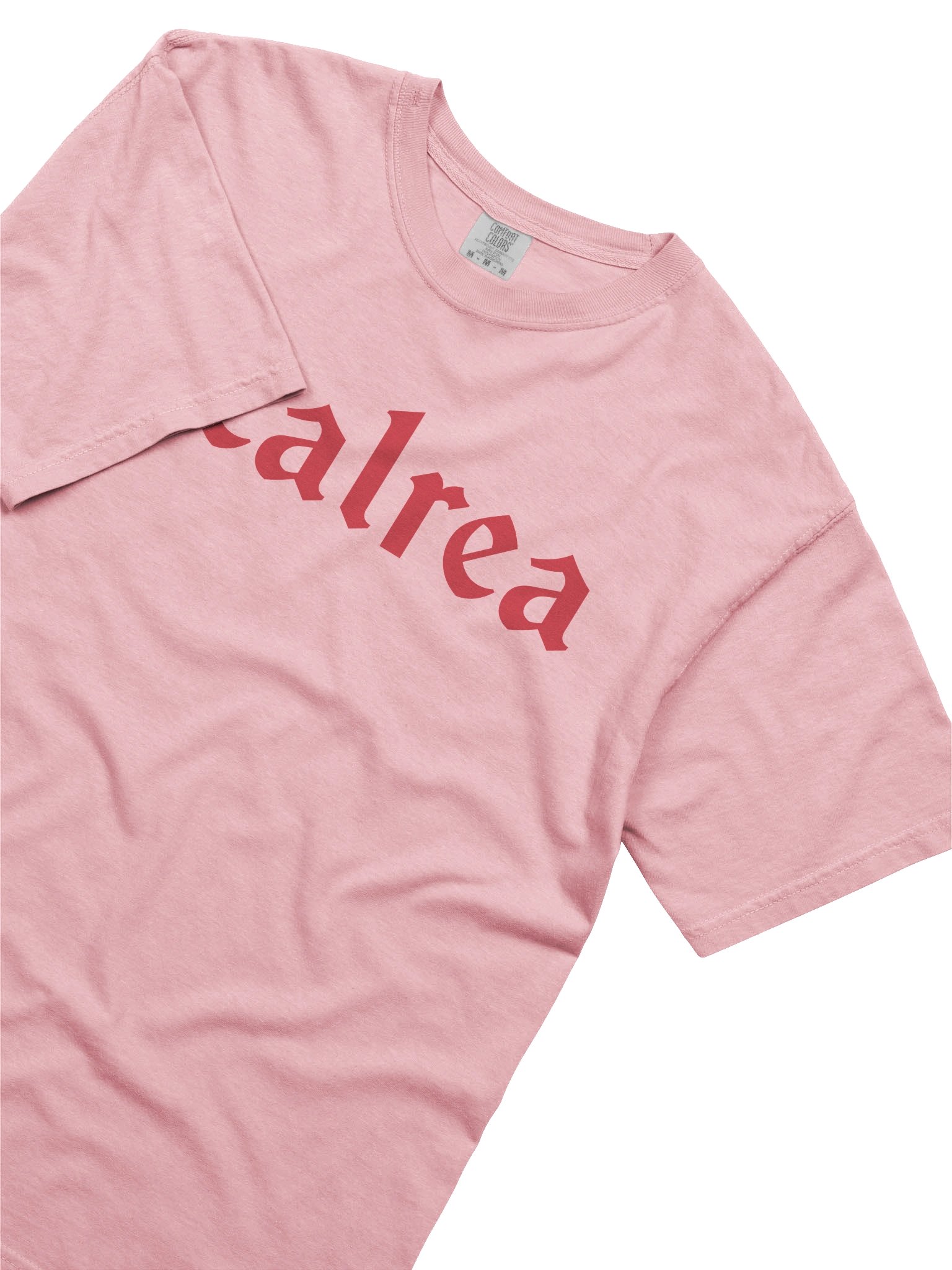 USE YOUR VOICE TEE product image (4)