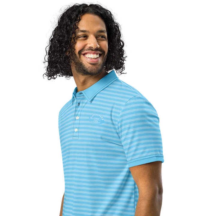 Blue Stripped Polo product image (2)