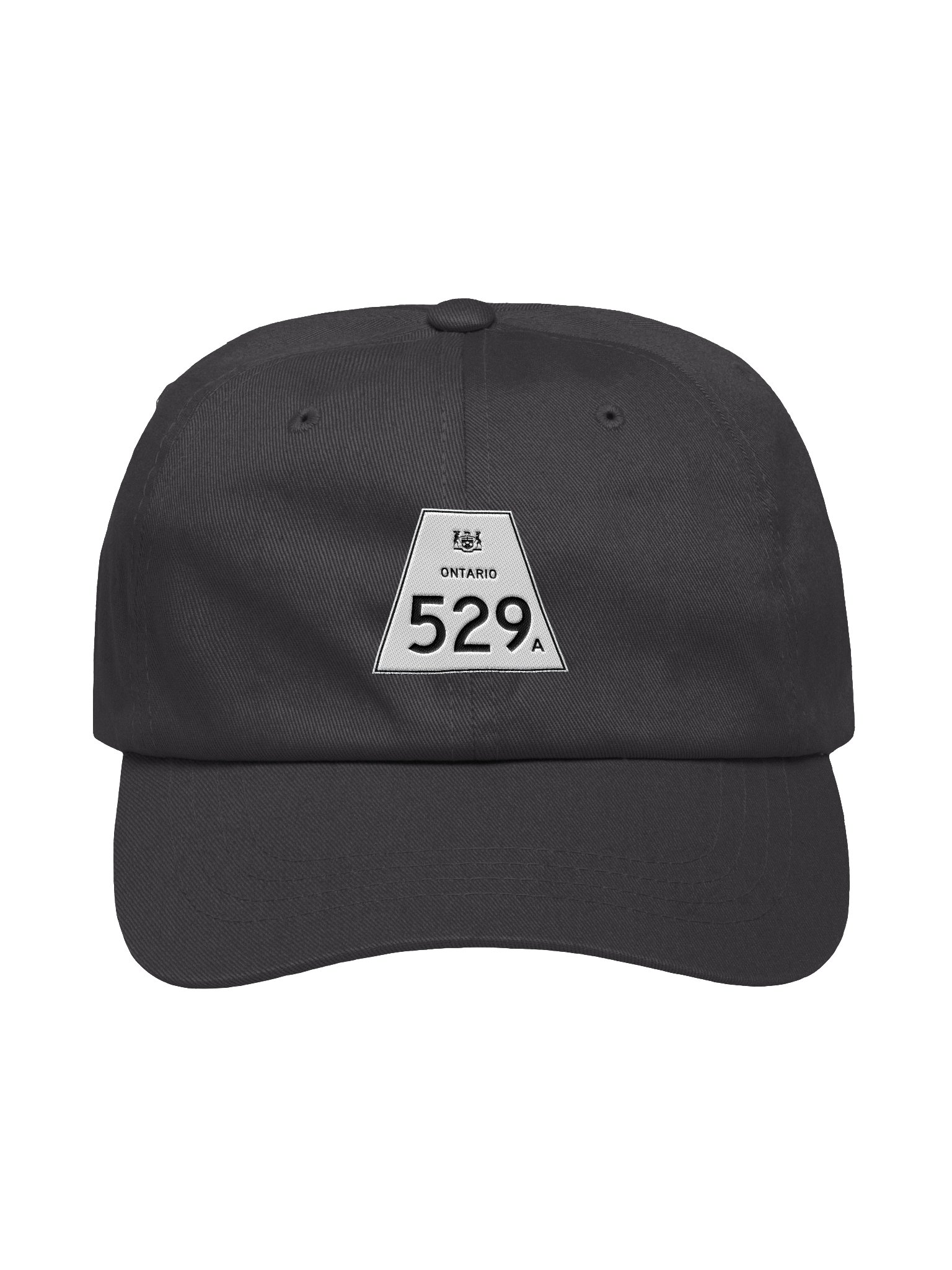 529A Dad Hat product image (17)