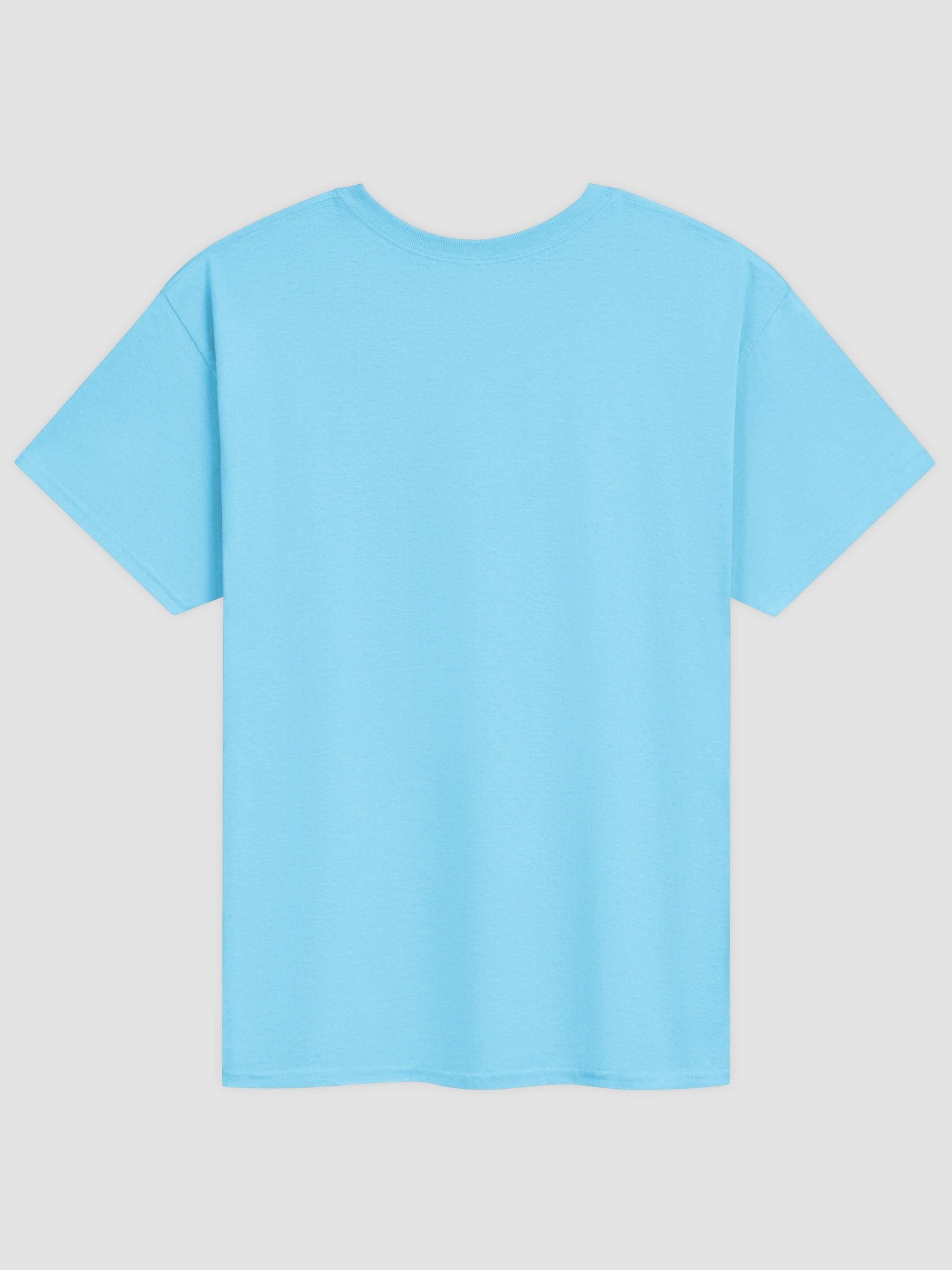 Ale University T-shirt product image (42)