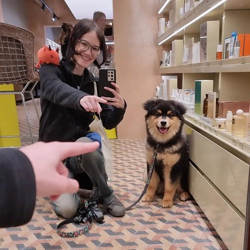 Finally got a photo of Triton admiring himself in the mirror at @meccabeauty haha! ついに化粧品店で鏡を見ている愛犬の写真を撮ることができました!

ENG only ...