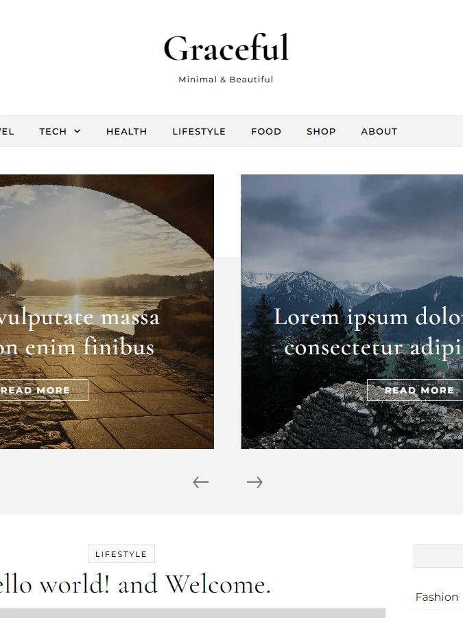 Graceful Pro Theme + 1 Year Support product image (1)