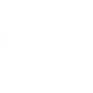 The Chosen Sleuth