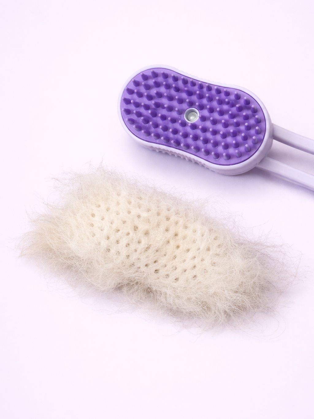 Pet Misting Brush product image (1)