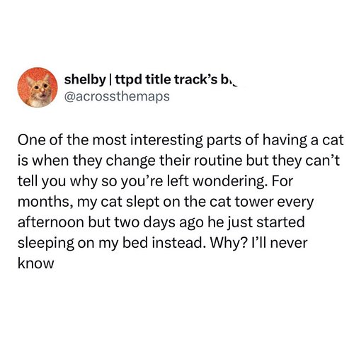 cats are always bamboozling