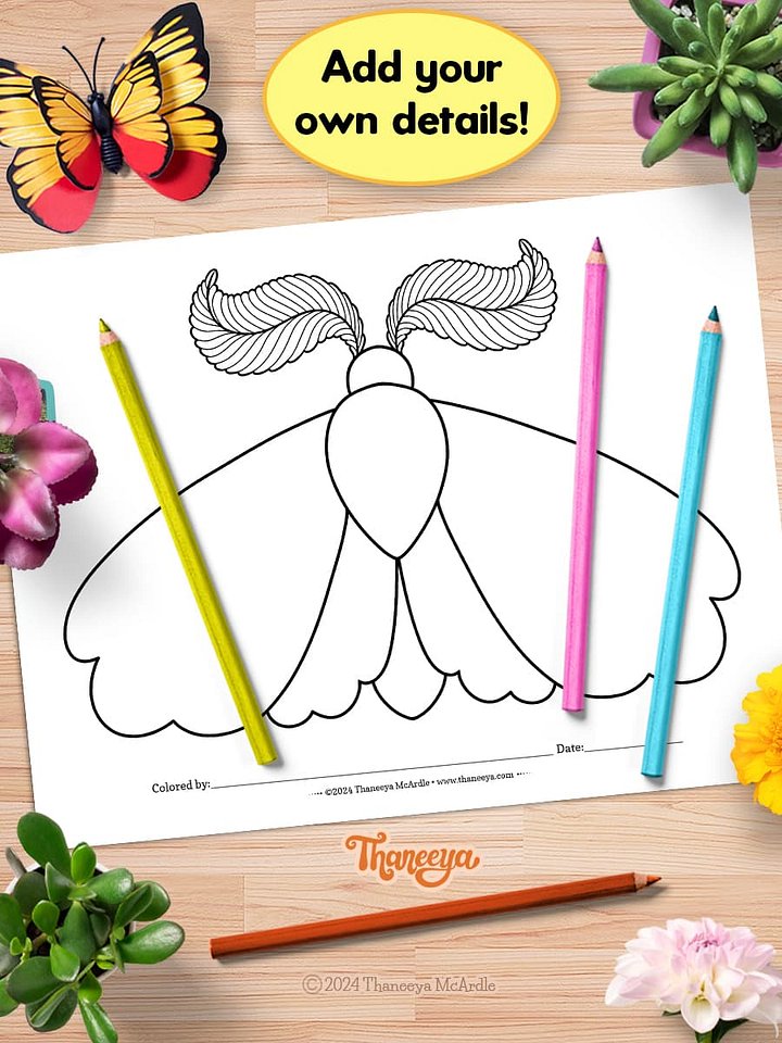 Moth - Single Coloring Page product image (2)