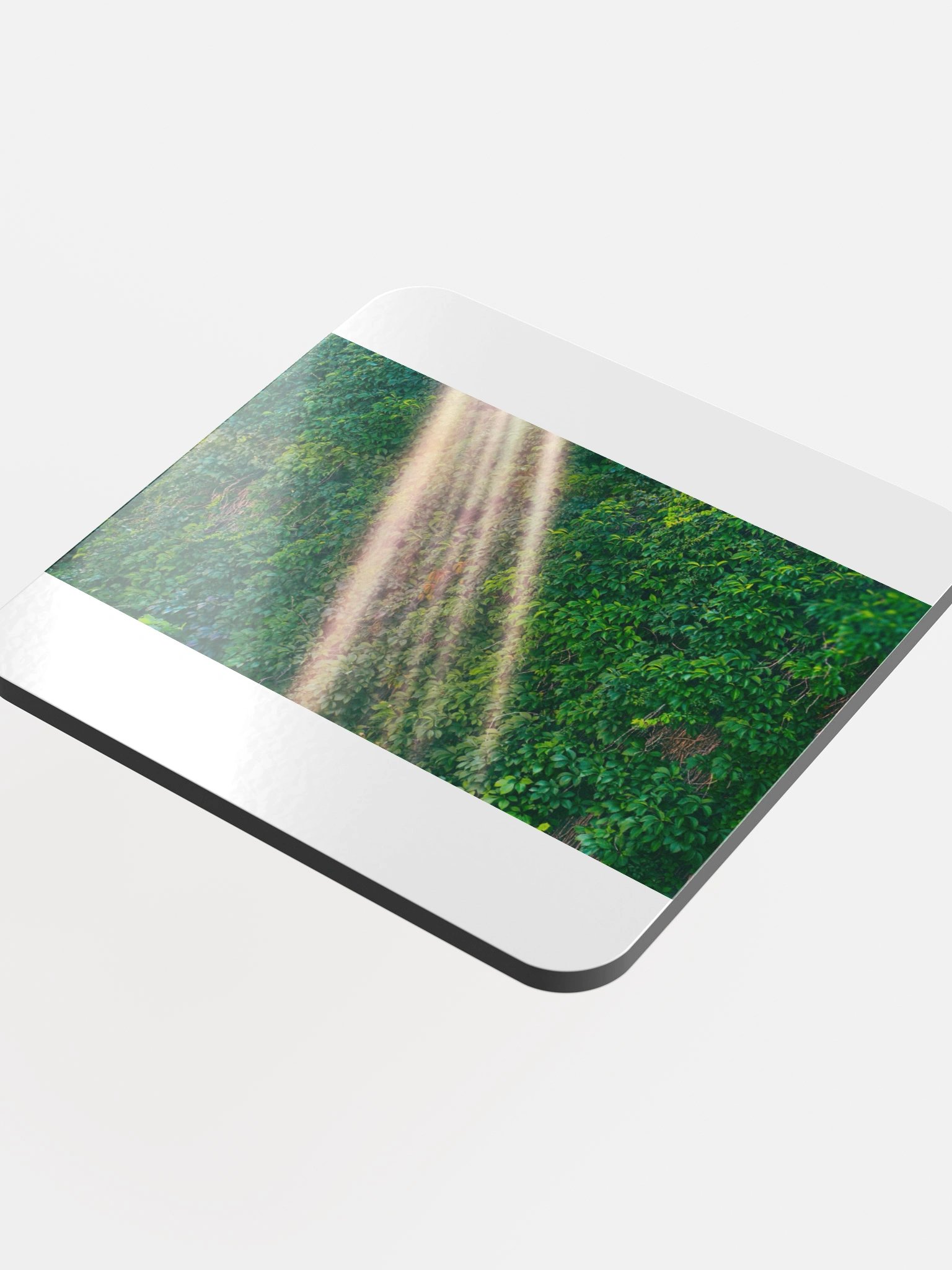 Sunlit Foliage Glossed Cork Coaster product image (4)