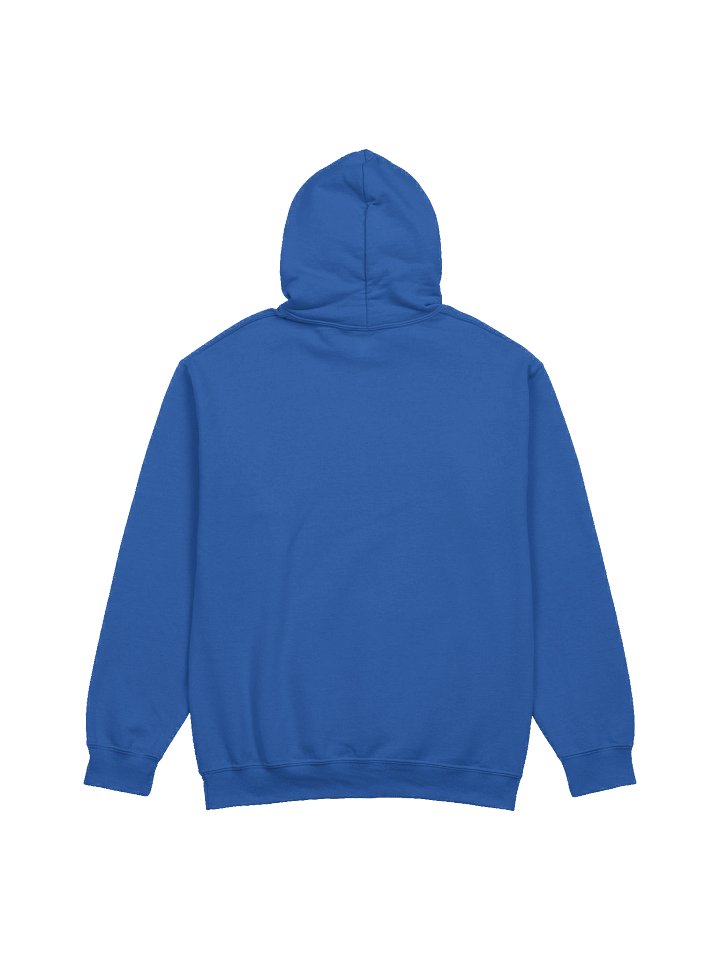 Gavin Newsom 2028 Hoodie product image (4)