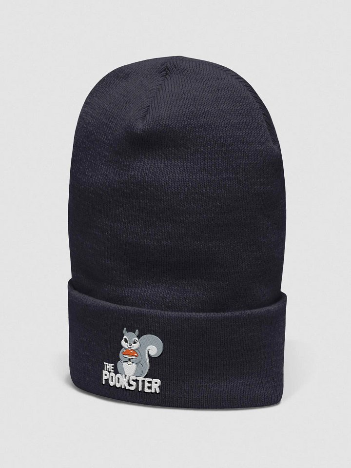 The Pookster Cuffed Beanie product image (2)