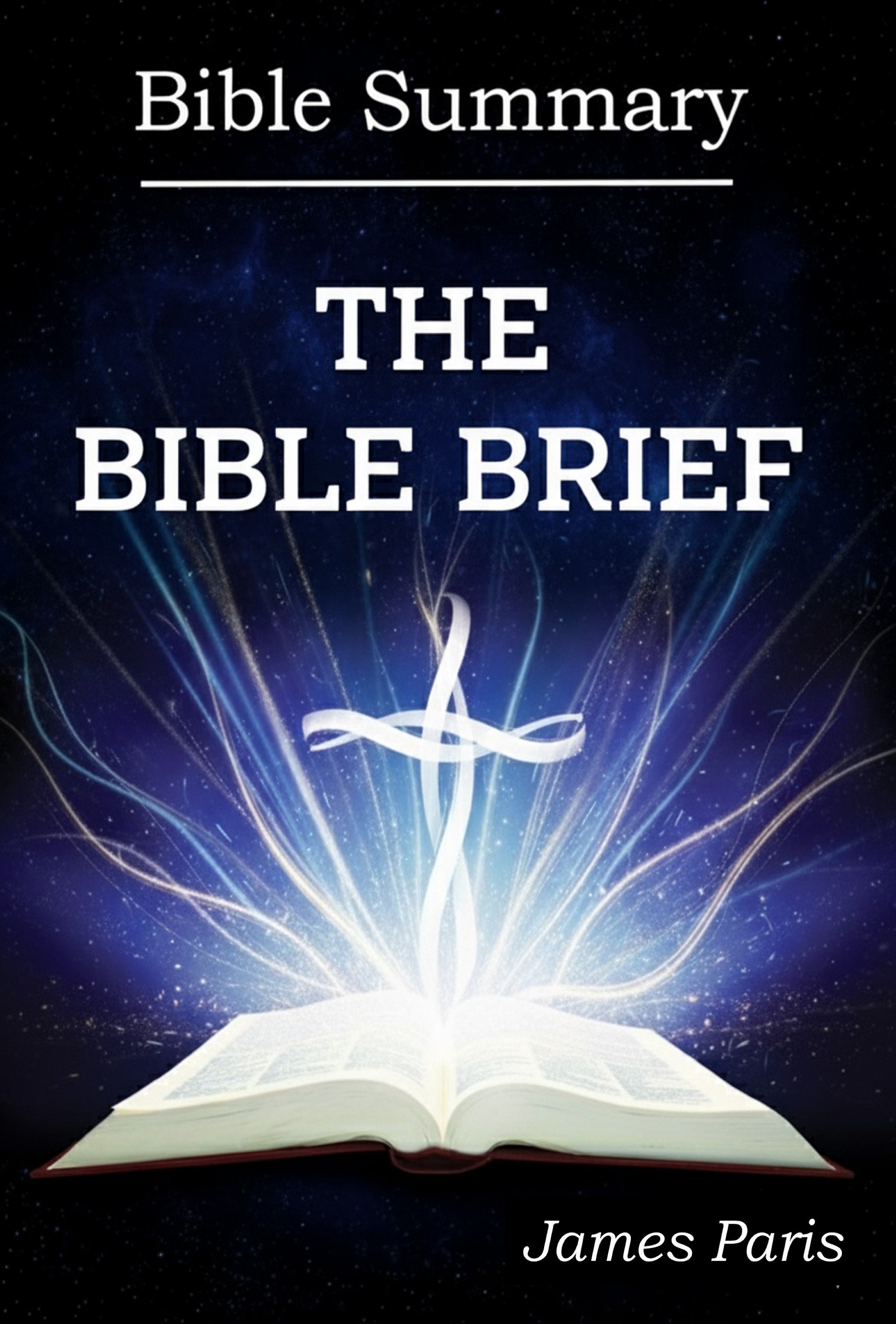 Bible Summary - The Bible Brief product image (1)
