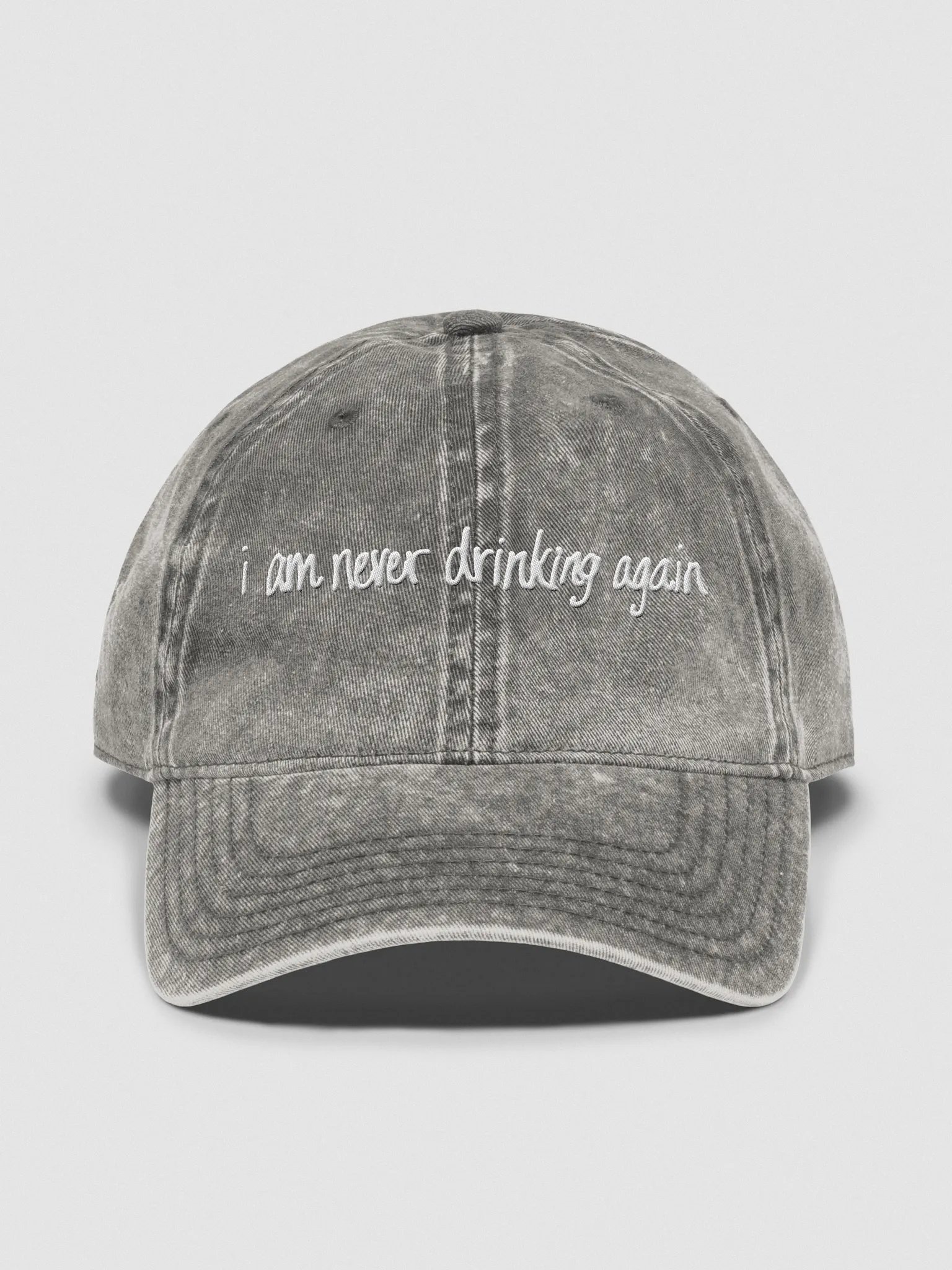 i am never drinking again product image (1)