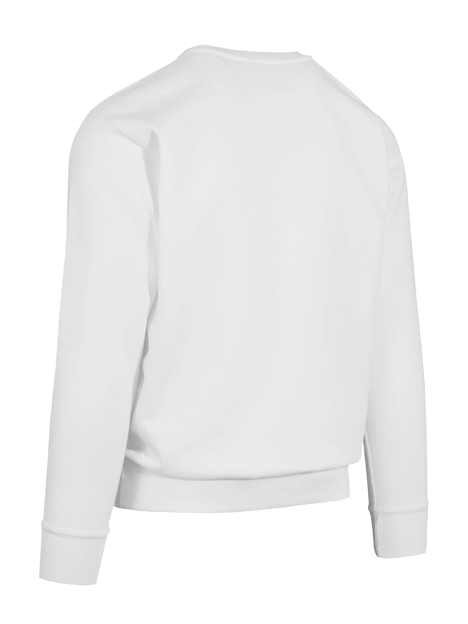 Emotionally Invested in Fictional People - White Sweatshirt product image (12)