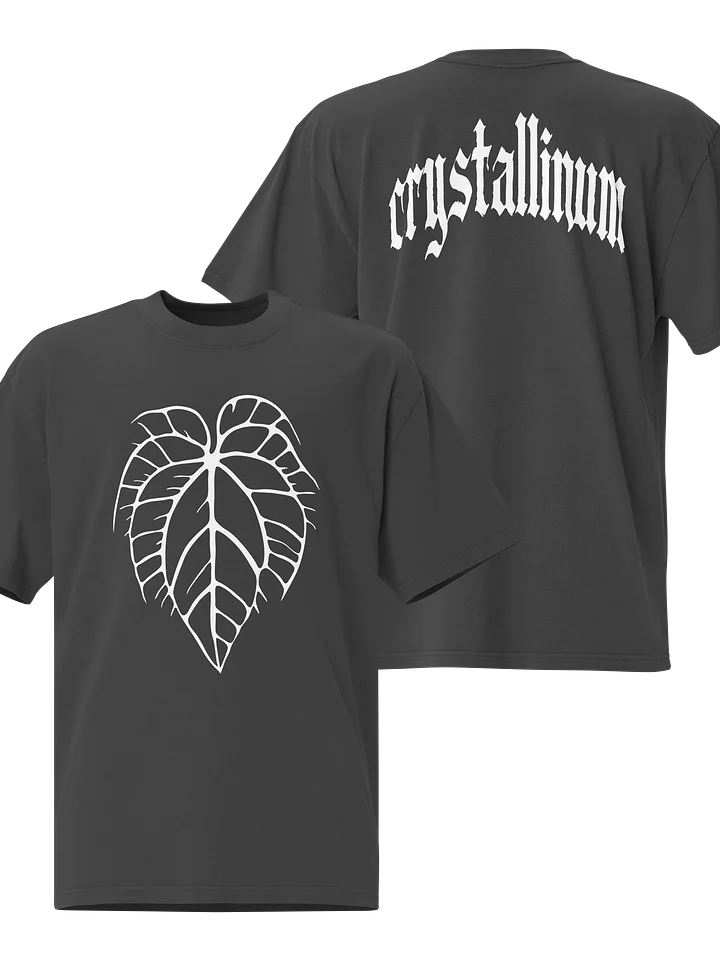 ANTHURIUM CRYSTALLINUM SKELETON - Oversized Faded T-Shirt product image (1)