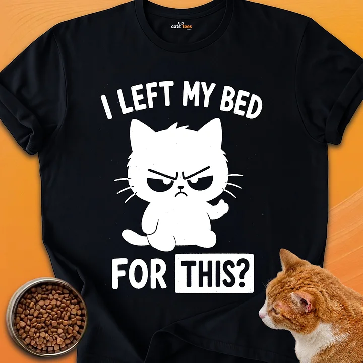 I Left My Bed For This? product image (1)