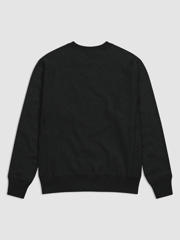 Wanted (men's pullover) product image (3)