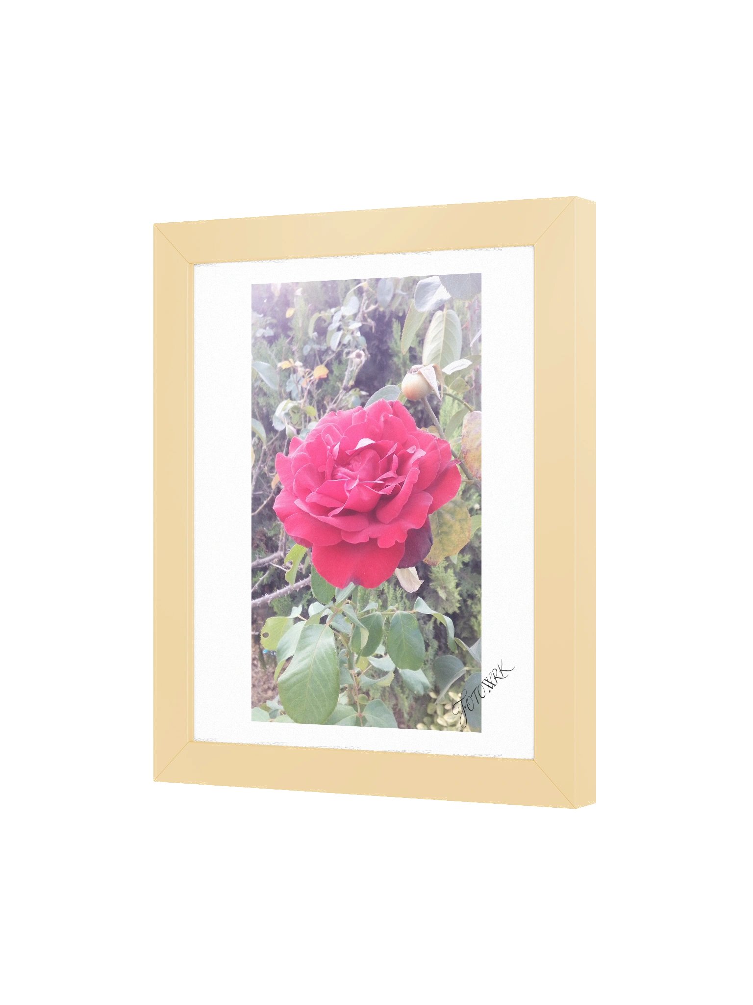 The Velvet Crimson - Fine Art Matte Poster product image (16)