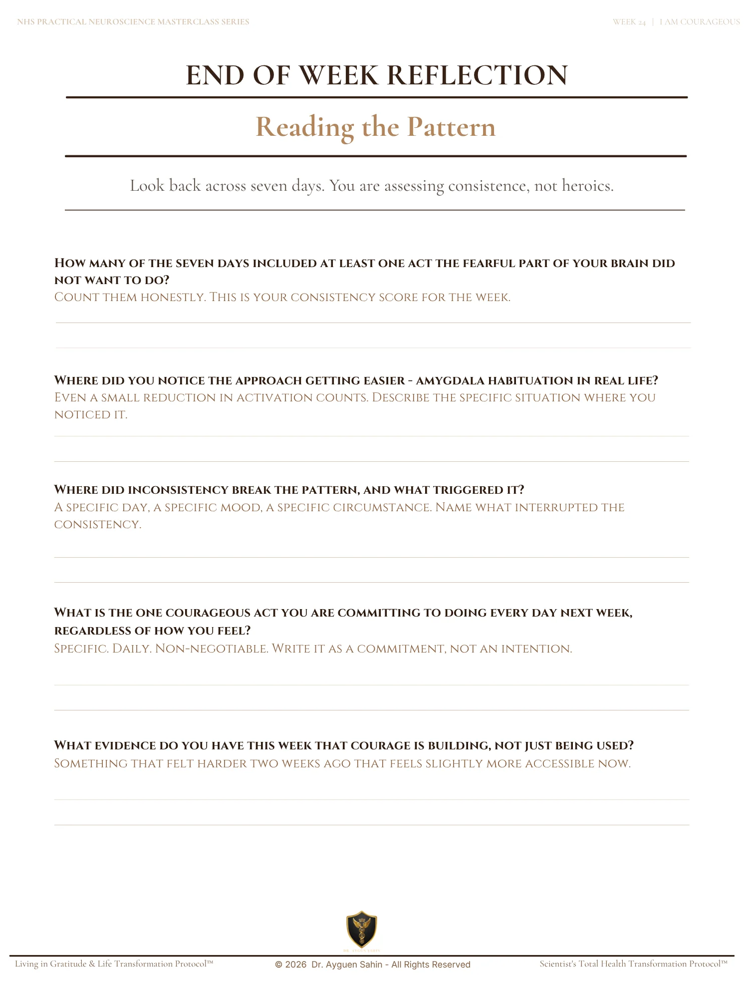 The Courage Audit product image (2)