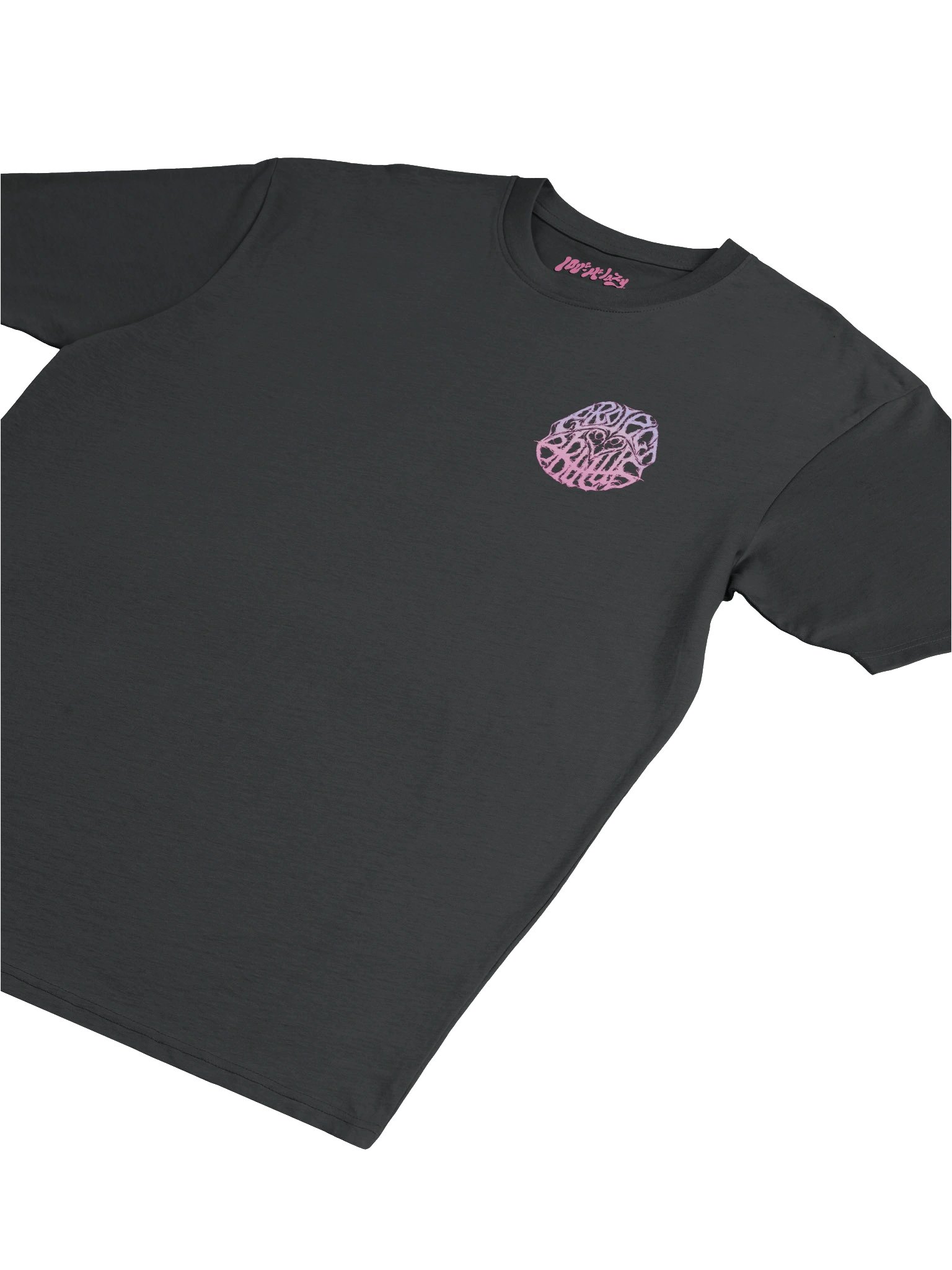Ombre Logo Tee [back] product image (5)