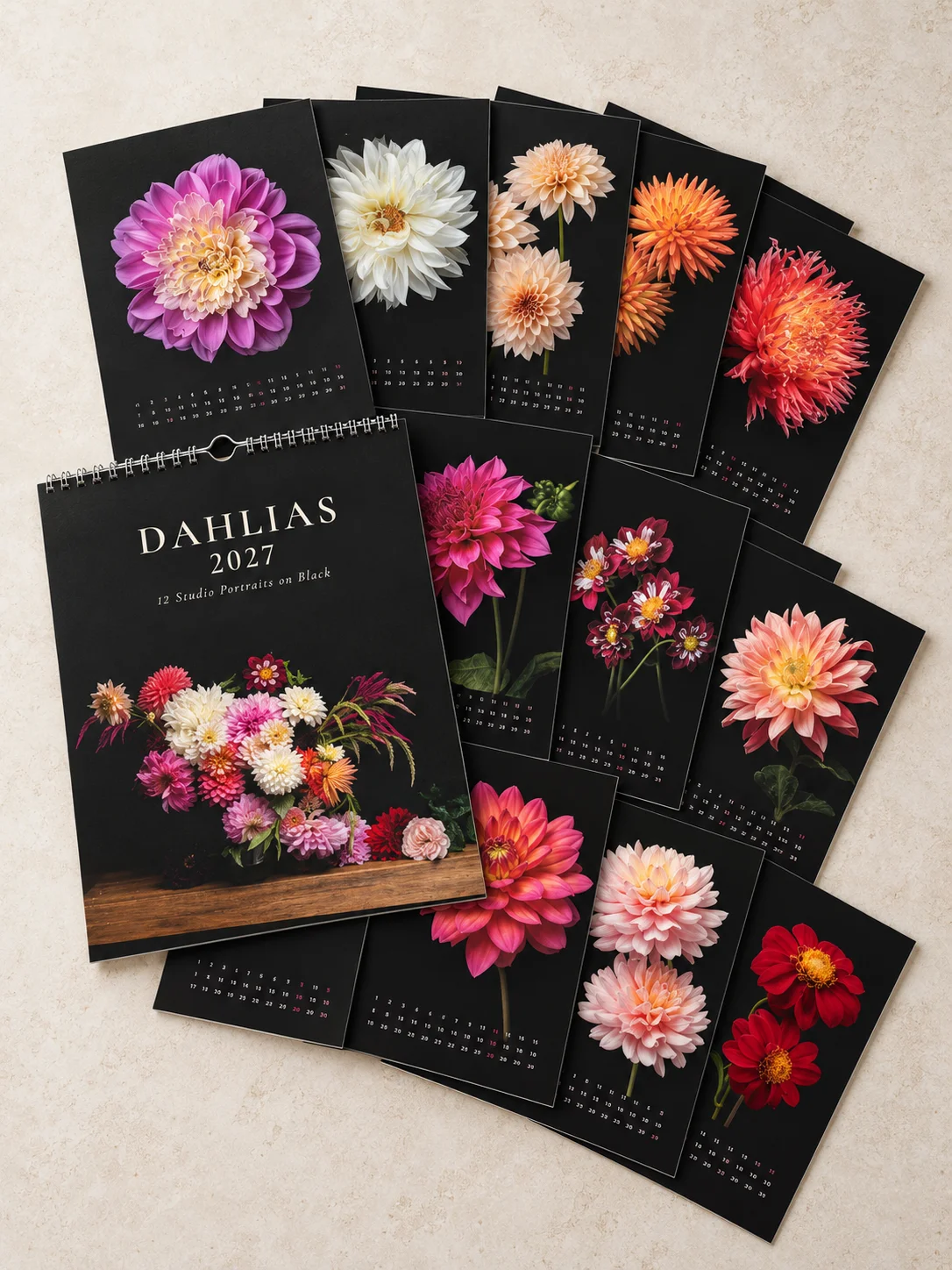Dahlia Portraits 2027 - Fine Art Wall Calendar product image (2)