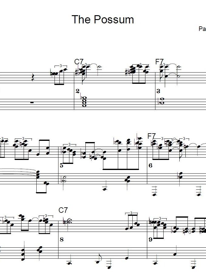 The Possum - Blues piano - Piano sheet music product image (1)