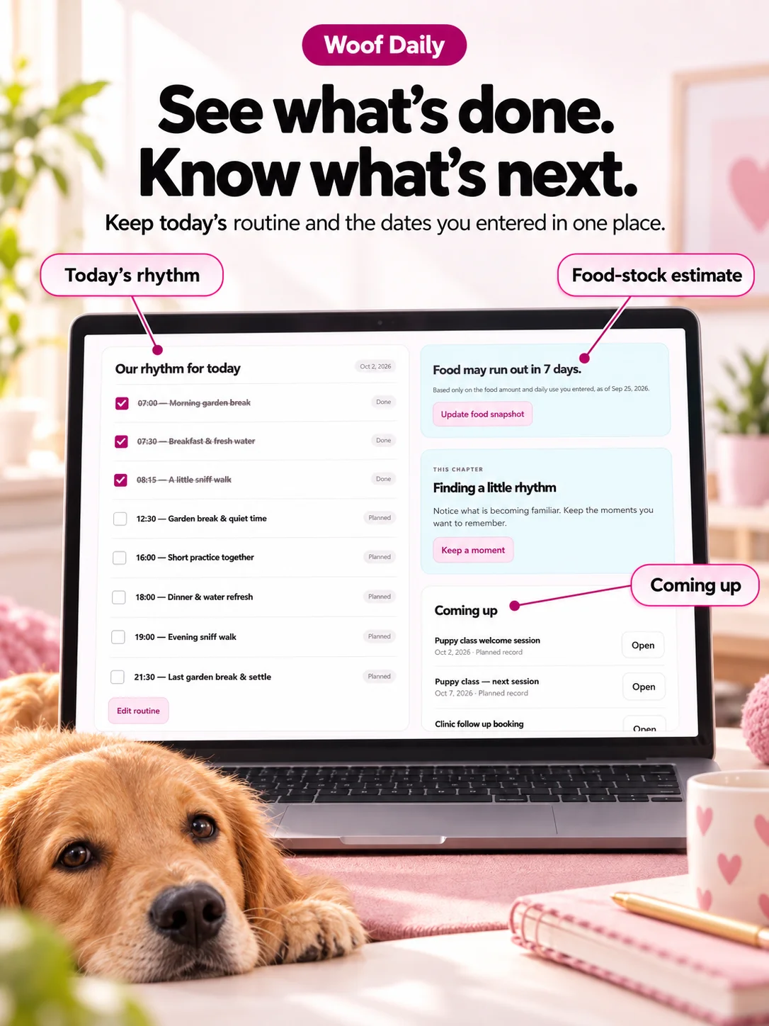 Woof Life: Dog-Care Journal + Activity Planner product image (10)