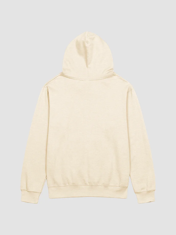 hoodie that you kinda can't read product image (2)