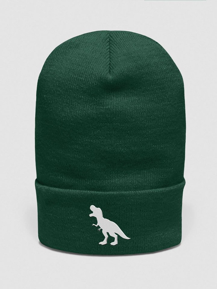 DINOSAUR Beanie product image (2)