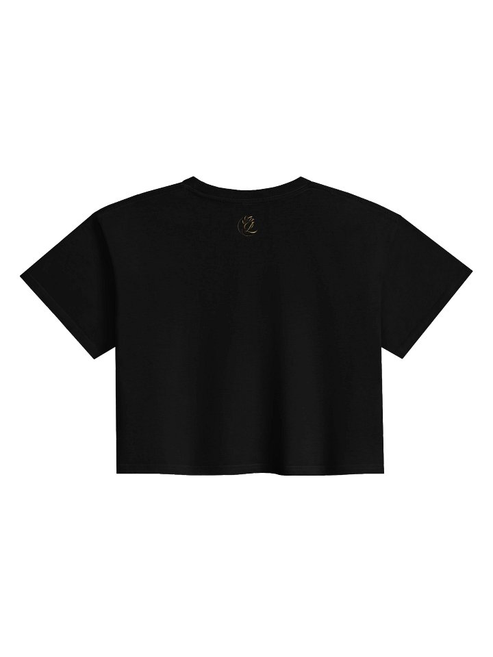 Houston Rodeo Club Western Crop Top product image (2)