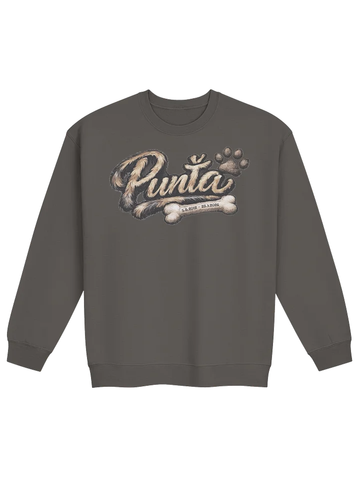Punťa crewneck product image (1)