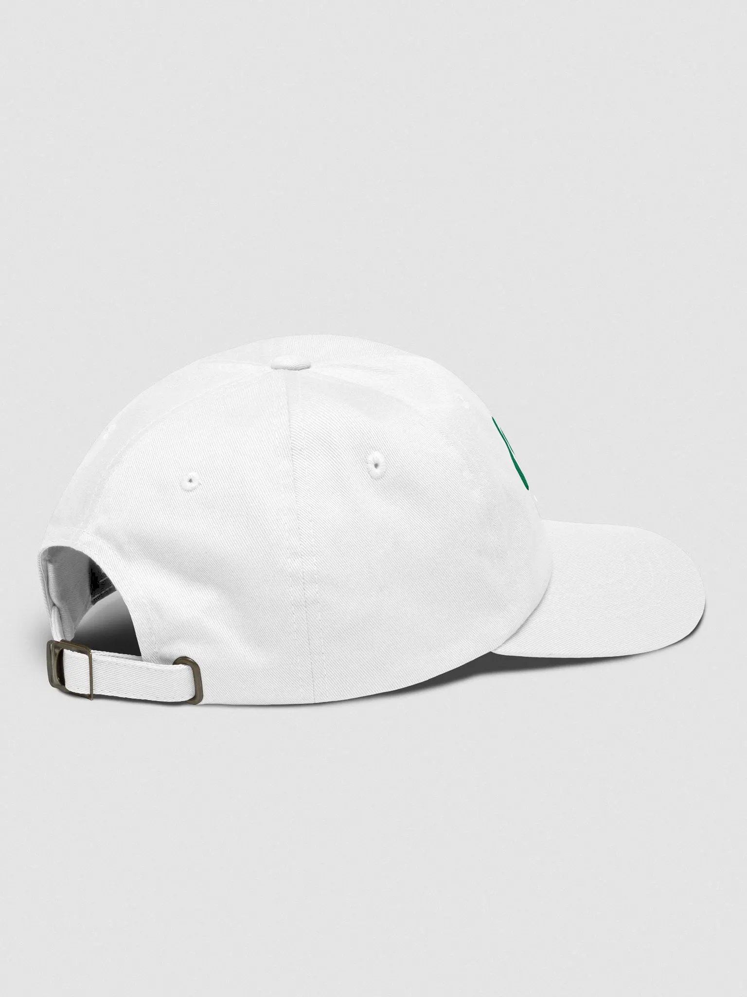 Lumi Dad Hat product image (9)