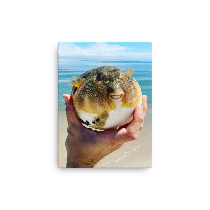 Northern Puffer product image (13)