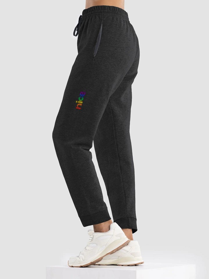 NICE SWEATPANTS - PRIDE Version product image (1)