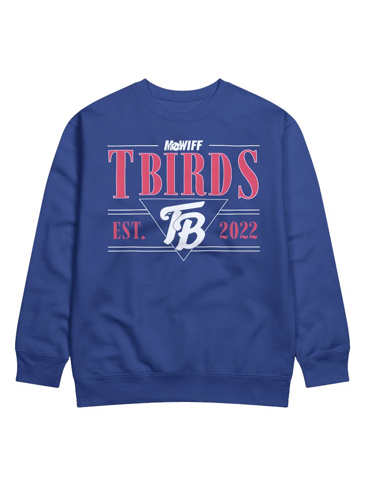 T-Birds Graphic Crewneck Sweatshirt product image (3)