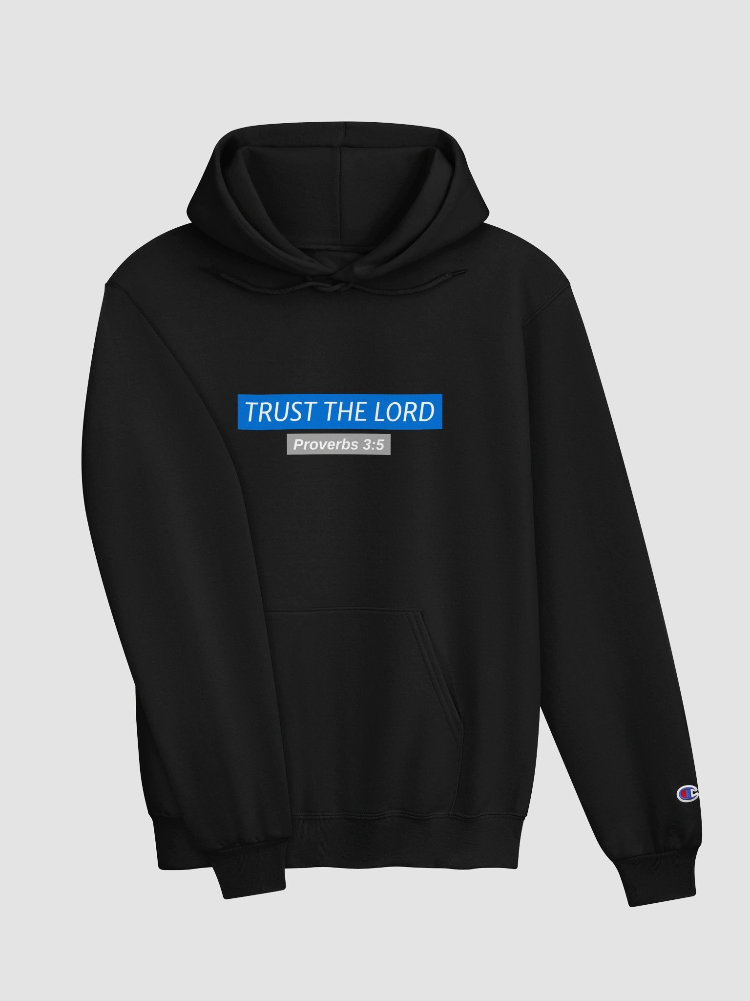 "Trust The Lord" Heavyweight Cozy Hoodie product image (3)