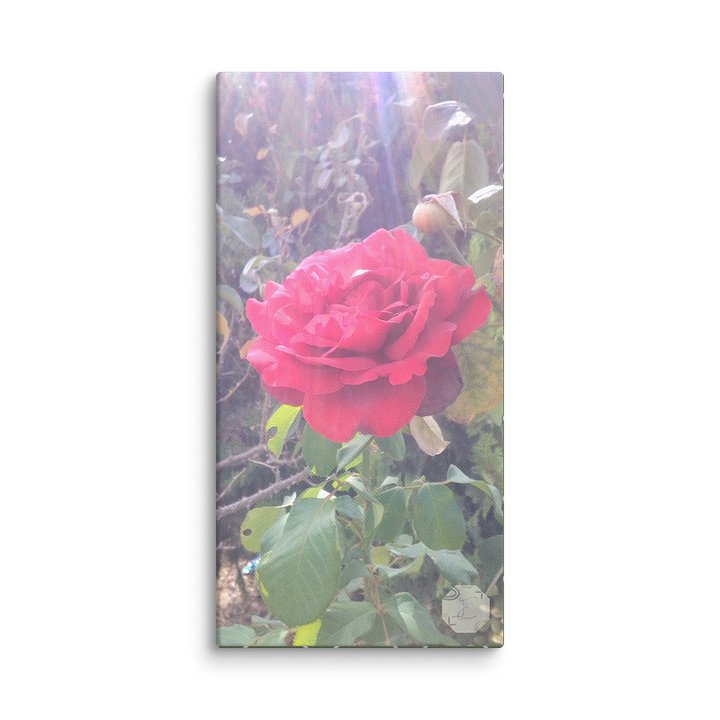 Veridian & Velvet – Fine Art Botanical Canvas product image (1)