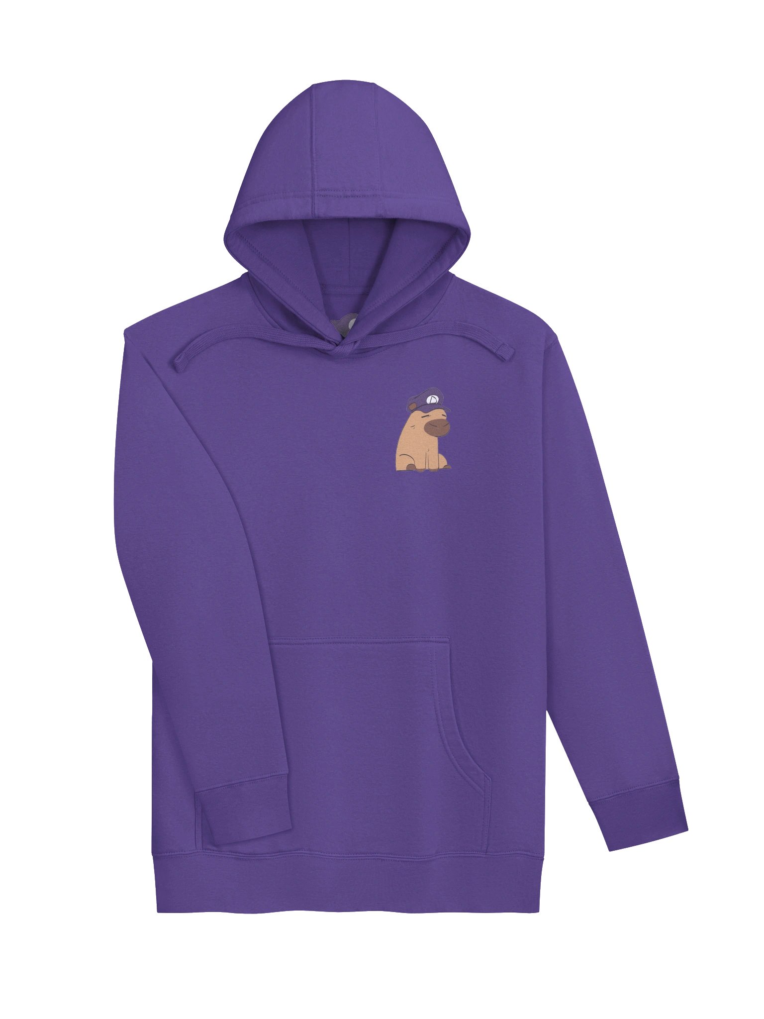 Dynamaestr0 Capy Hoodie (Printed) product image (3)