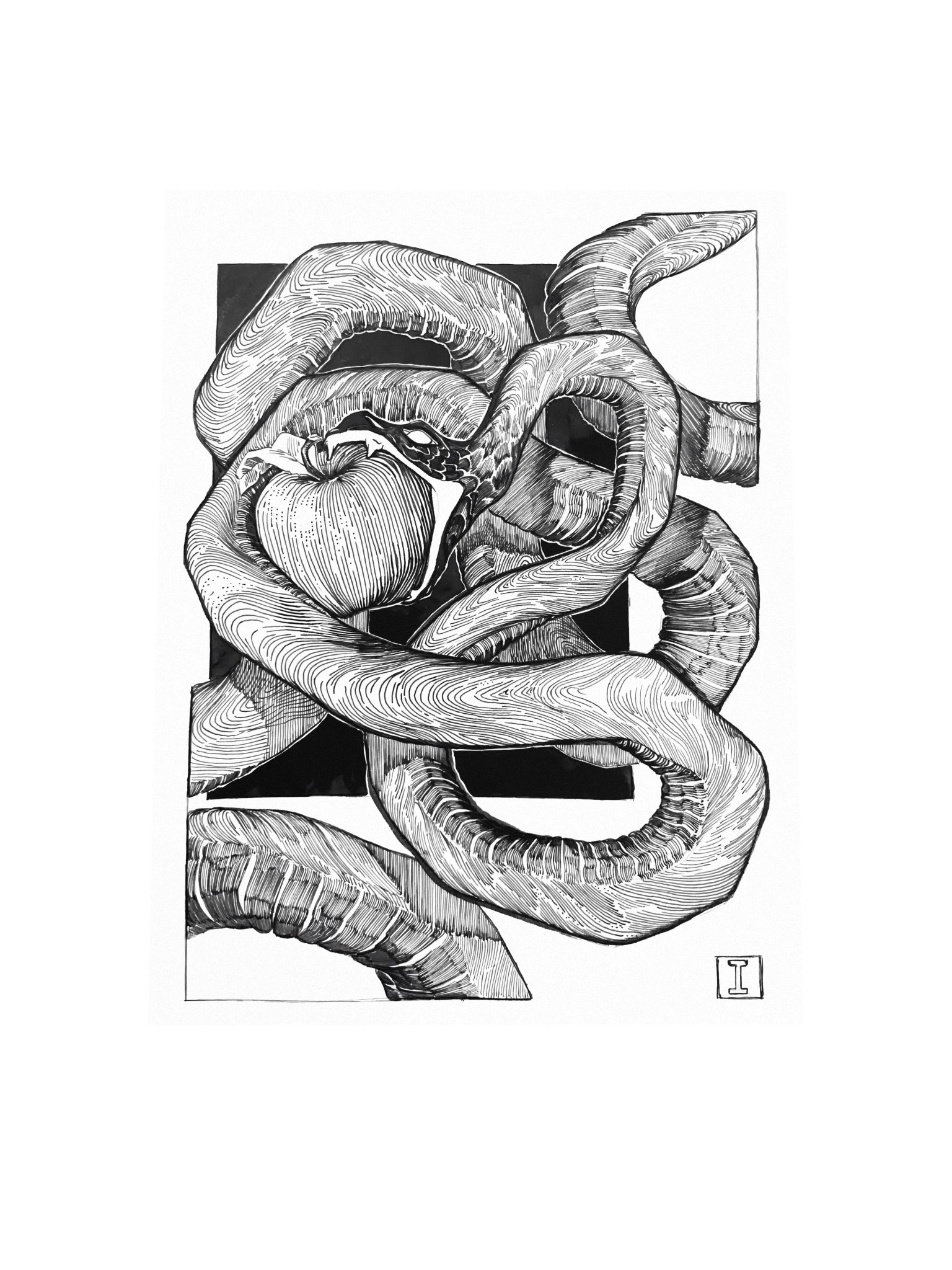 Inktober art. “Apple” (Poster) product image (4)