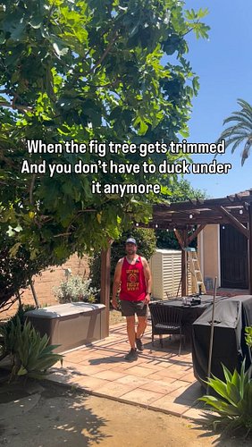 No more ducking!  I was sad to lose some good spring growth, but happy that my back will stay out of traction. My tall people...